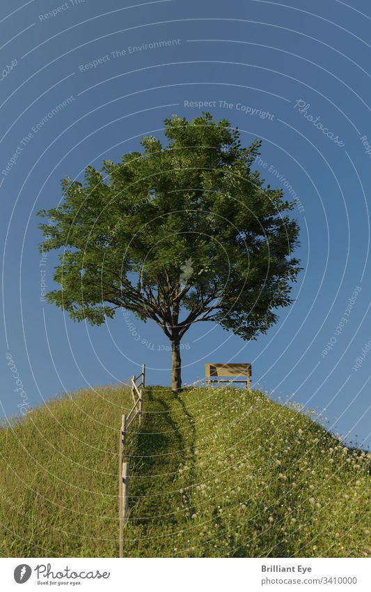 Beech next to a wooden bench on a high green hill Wood Tree off rural scene scenic performances silent backgrounds idyllically tranquillity Catwalk Summer Rest