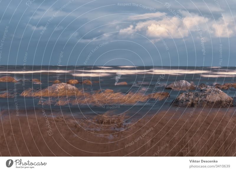 weather on a Baltic sea in autumn - waves, wind and storm background beach tree water texture nature winter spring baltic sand horizon landscape sky surf