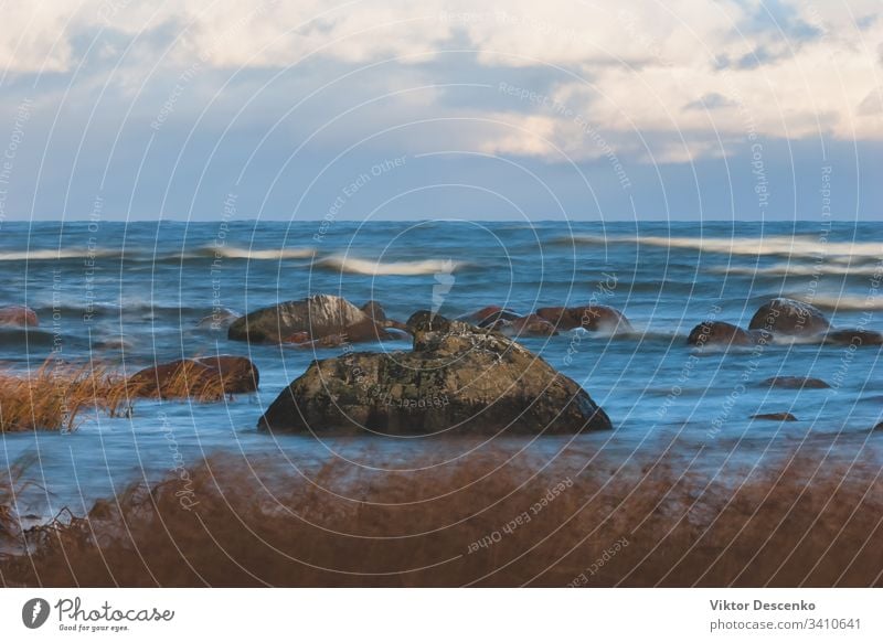 weather on a Baltic sea in autumn - waves, wind and storm background beach tree water texture nature winter spring baltic sand horizon landscape sky surf