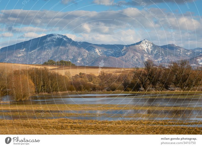 Nature reserve on the Turiec River and Velka Fatra National Park in the Turiec region, Slovakia. Landscape mountains Carpathians Winter Tlsta Ostra Flood Rural