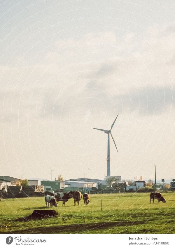 ecological wind power plant with renewable green energy on a field in the evening sun Autumn Alternative background Blue Change Clean Climate change cloud