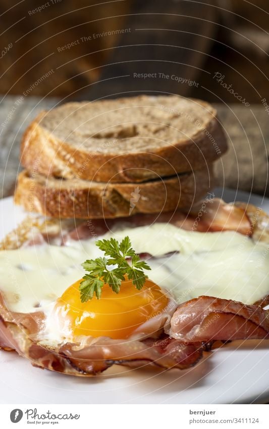 breakfast Fried egg sunny-side up Egg Ham Bacon Breakfast Bread Baguette Parsley yolk Close-up Wood Rustic