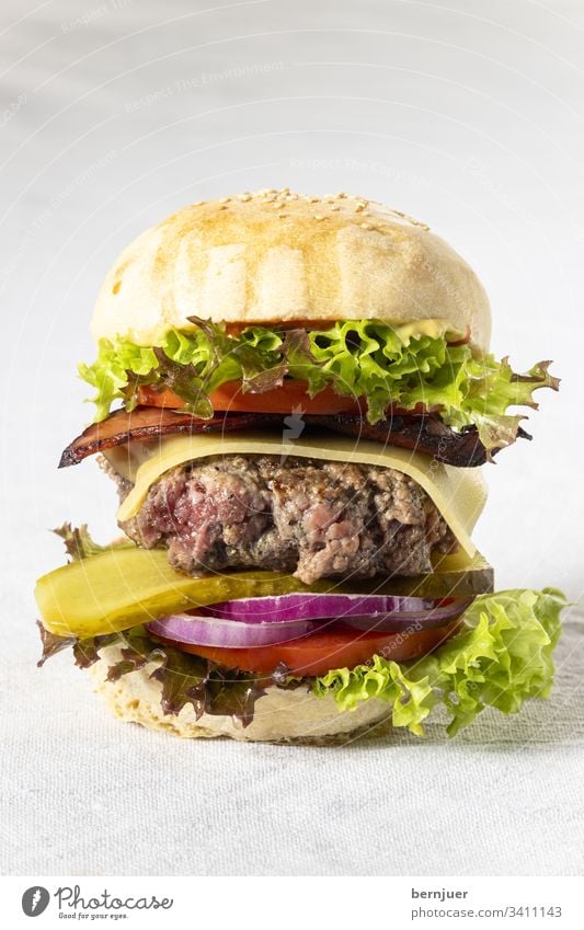 Close up of a single cheeseburger Cheeseburger Hamburger Crisp Fast food roasted organic Patty Rucola baked Sesame Ketchup Gourmet American Vegetable Delicious