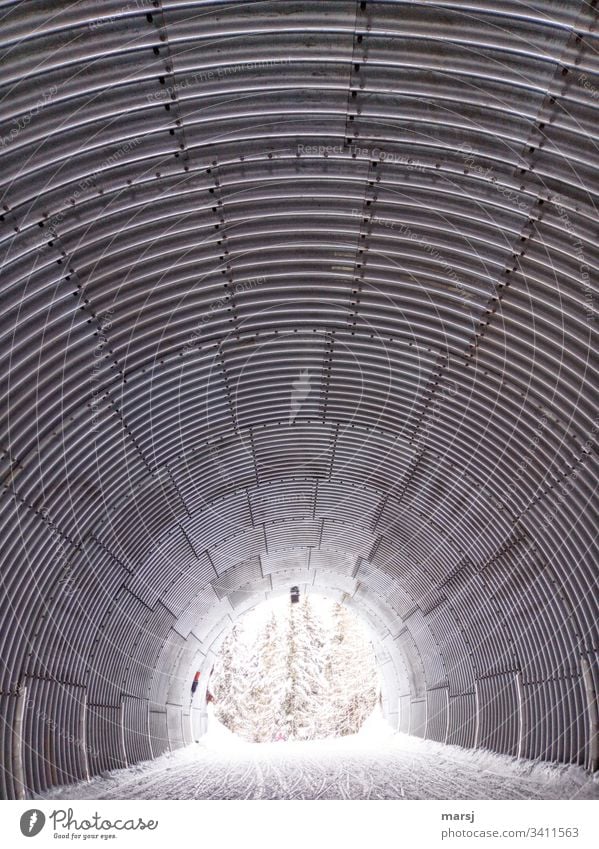 Snow-covered trees glow at the end of the corrugated tunnel Tunnel Light at the end of the tunnel Corrugated sheet iron Pattern Structures and shapes pull Round