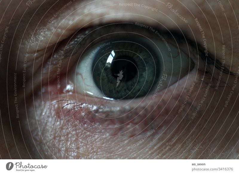 Eye with fear in sight Eyes iris Human being Looking Eyelash Pupil Iris Detail Face Close-up Woman Macro (Extreme close-up) vein Dark crease reflection Fear