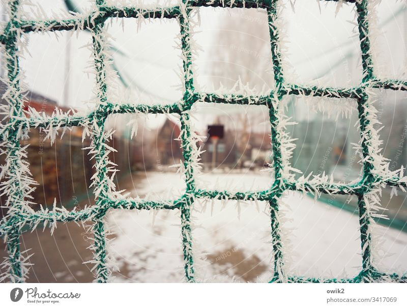 bit snappy Net Sporting grounds Exterior shot Colour photo Structures and shapes Day Detail Green Line Network Close-up Playing field Shallow depth of field