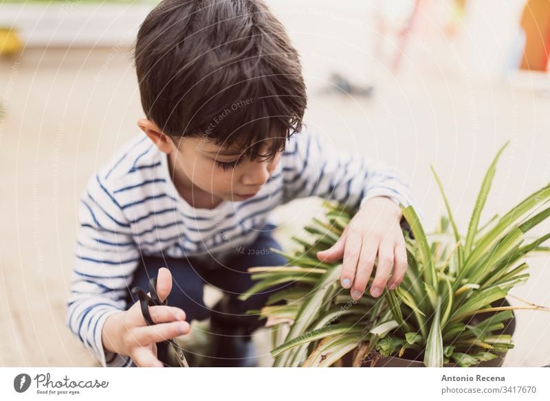 Little boy pruning flower pot at home as a gardener child kid 3-4 years old 4-5 years old children cut gardeners gardening plants patio spring family pots