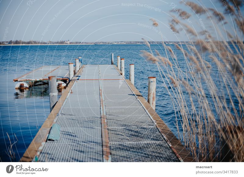 jetty at the Goitzsche Lake Great Goitzsche Lake lignite mining flooded reed Water Body of water lake ponton Grating Summer Spring blue Sky holidays Relaxation