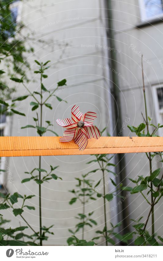 Striped windmill on a barrier tape, in front of green plants in a garden, in front of a grey, dismal, desolate wall in the courtyard of a city. Barrier tape to comply with the distance rule, protective measure, hygiene regulation during the corona pandemic.