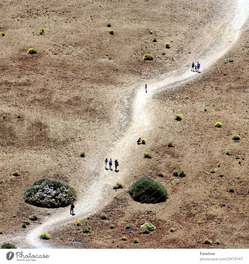 The path is the destination - or a path in a desert-like environment where tiny walking people can be seen at the foot of the Teide in the Teide National Park on the Spanish island of Tenerife