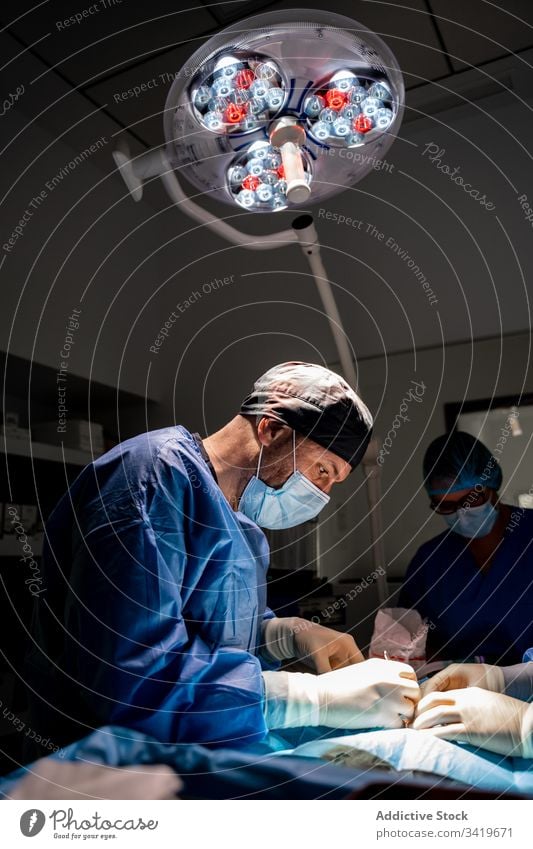 Veterinarian staff during surgery in modern clinic surgeon veterinarian hospital medic doctor treatment nurse work medical practitioner specialist veterinary