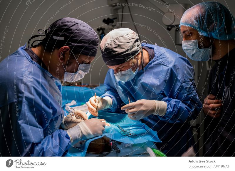 Veterinarian staff during surgery in modern clinic surgeon veterinarian hospital medic doctor treatment nurse work medical practitioner specialist veterinary