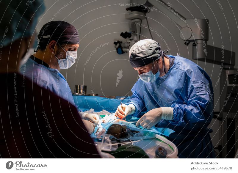 Veterinarian staff during surgery in modern clinic surgeon veterinarian hospital medic doctor treatment nurse work medical practitioner specialist veterinary