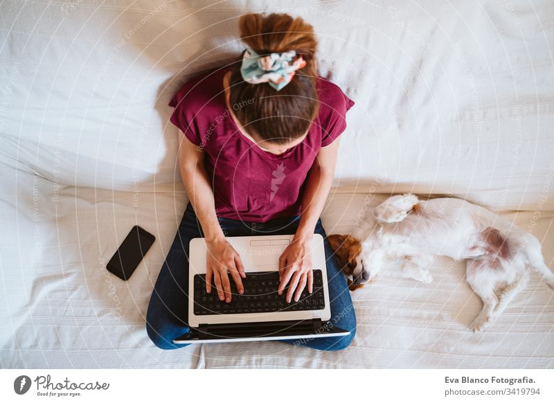 young woman working on laptop at home, sitting on the couch, cute small dog besides. Technology and pets concept jack russell friendship together togetherness