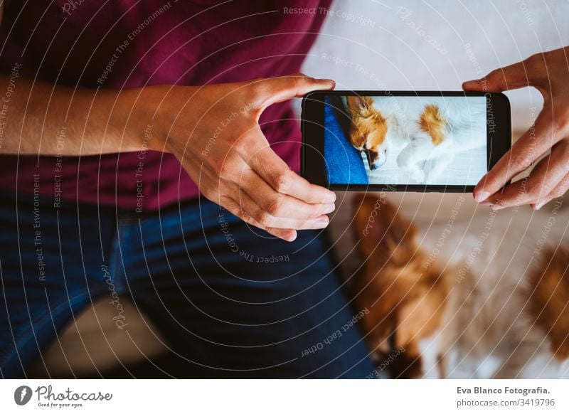 young woman working on laptop at home, sitting on the couch, taking a picture with mobile phone of her cute small dog besides. Technology and pets concept