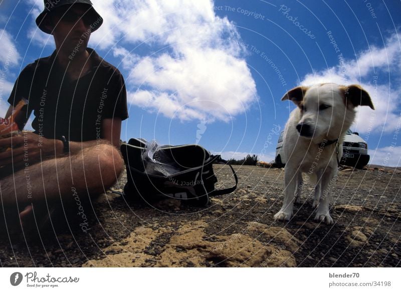 Yes, who are you!??? Dog Friendship Wide angle Unfriendly Feed Humor Human being Nutrition Mistrust Joy