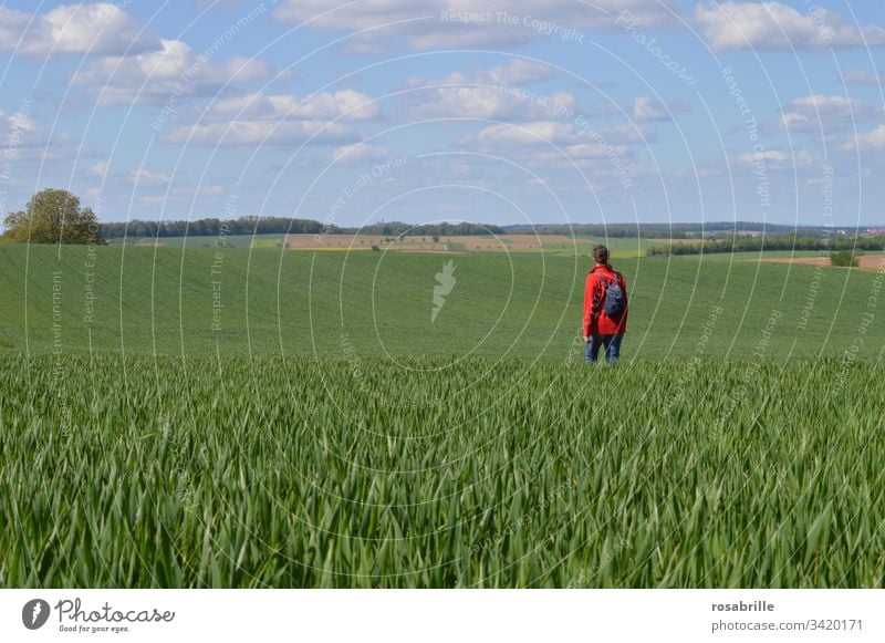 vital | get out: light and air, excursion into nature Hiking Nature To go for a walk Human being Woman Backpack Field acre wide Light and air breathe deeply