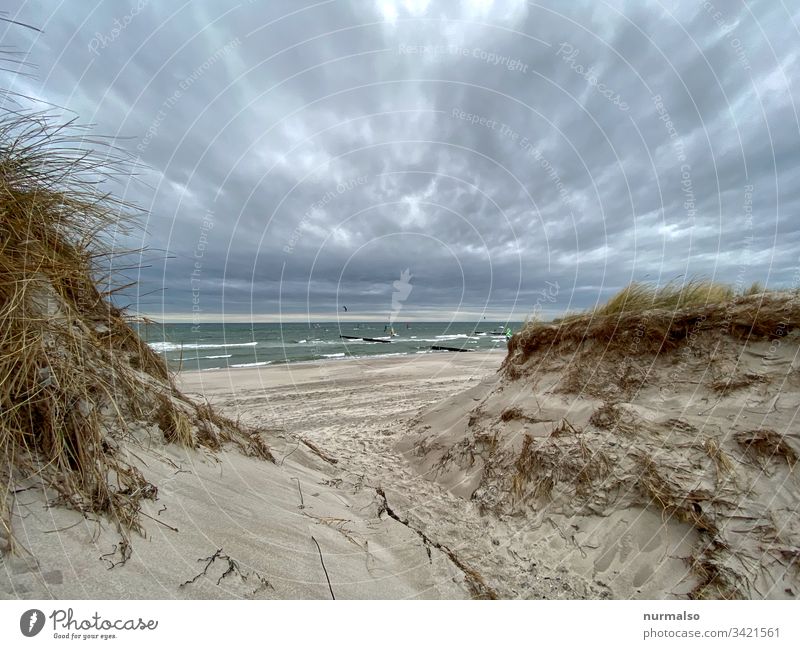 Virtual journey Baltic Sea Ocean Beach Weather To go for a walk Waves Sand breakwater strandgrass Sky Clouds salt water Wind vacation Far-off places Sports