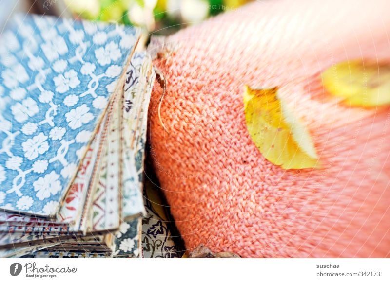 during Reading Autumn Leaf Old Retro Warm-heartedness Calm Cushion Book knitted pillows Colour photo Exterior shot Deserted Day Blur