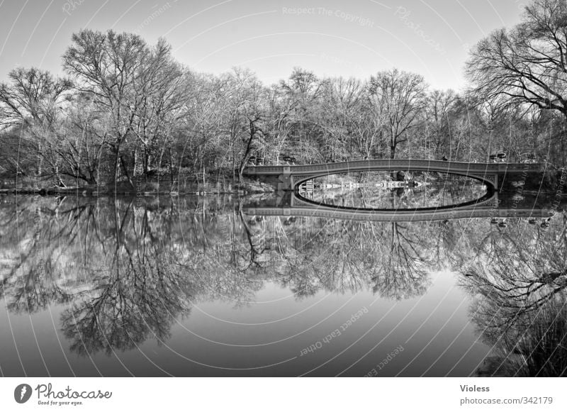 ...double Capital city Park Bridge Tourist Attraction Central Park Relaxation Famousness Romance Beautiful Calm New York Reflection Black & white photo