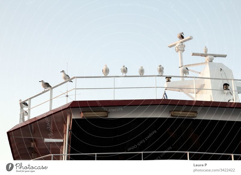 Background of beautiful calm sea and blue skies and a ship deck with seagulls architecture background baltic baltic sea beach birds bridge clear construction