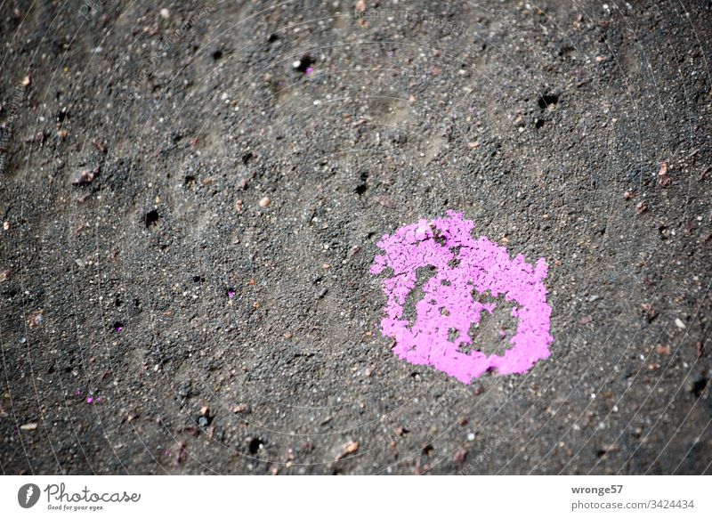 Pink blob of paint on black asphalt Street Asphalt Pavement Colour Patch of colour splotch of paint pink Traffic infrastructure Deserted Exterior shot Day