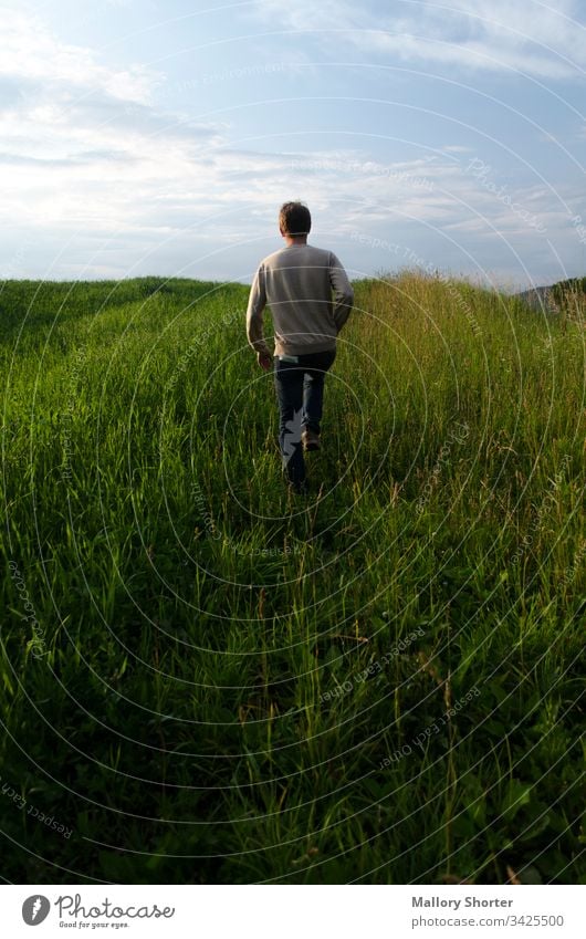 Man walking away through grassy hills at sunset man field grass field travel explore meadow boy male sunrise nature blue sky walking ahead lead follow scenic