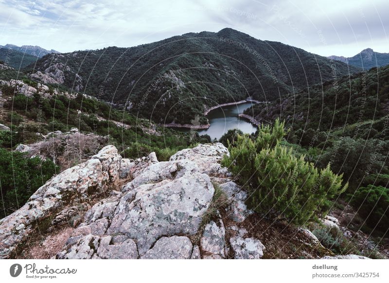 View of a mountain lake with rocks and bushes in the foreground Wellness Rock Time to yourself Expedition Break Camping Earth Climate change Harmonious Contrast