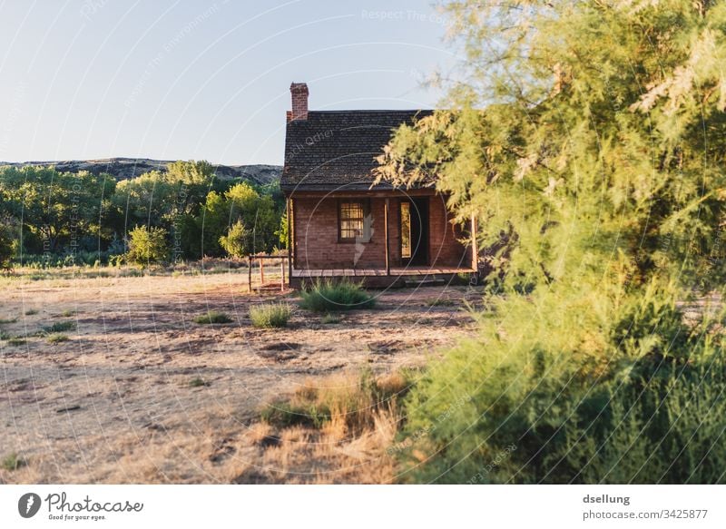 Brick house with green bushes in the evening light Calm straightforwardness Ghost town Sun Deep depth of field Loneliness Old Brown Back-light Tracks solar star