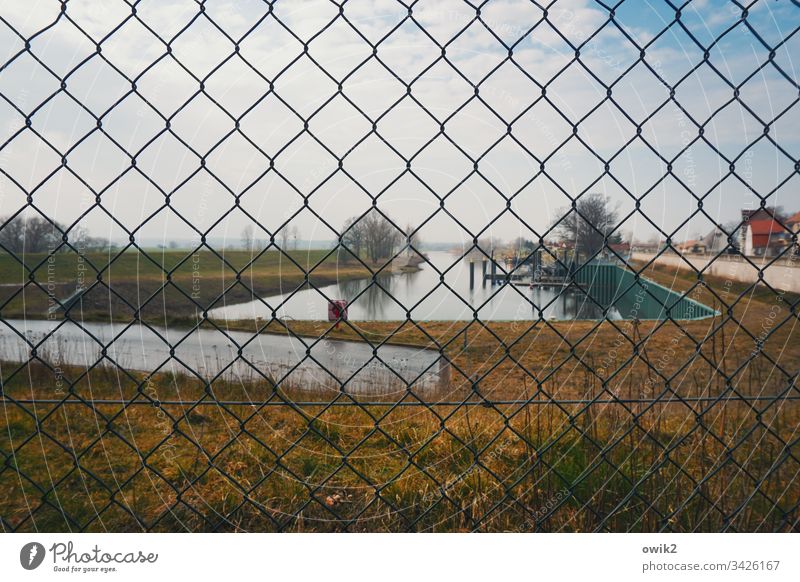 Mühlberg, harbour Wire netting Fence Harbour Basin Water Grass cordon Territory trees Shallow depth of field Wire netting fence Exterior shot Deserted Day