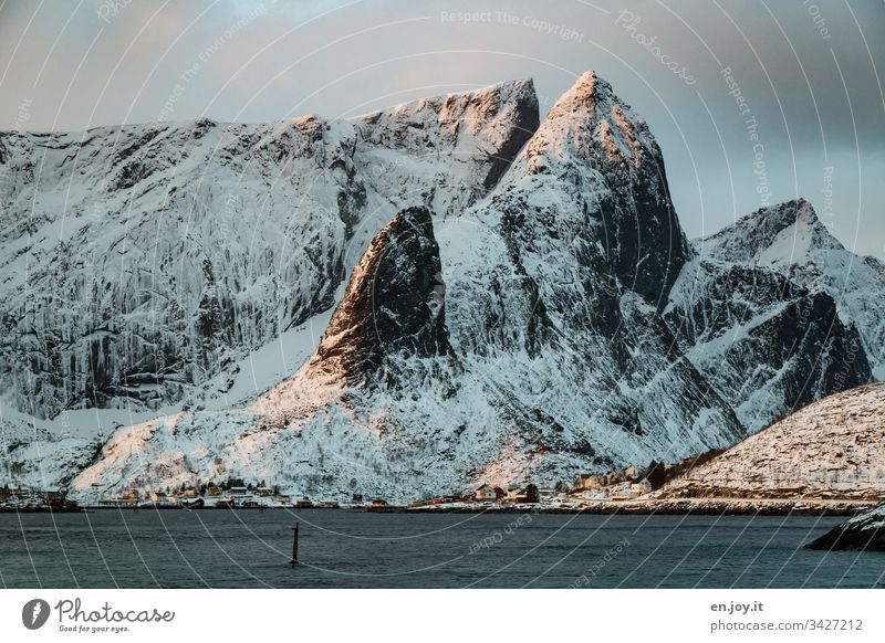 Fishing village on the fjord in front of a snowy mountain sacrisoy Lofoten," Lofoten Islands Travel photography Idyll Reinefjorden Water Fjord Tourism seascape