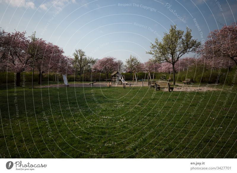 Corona thougths | empty playground with green meadow and flowering trees Playground Empty Meadow Lawn Bench Park bench Slide Swing blossoming trees Daisy