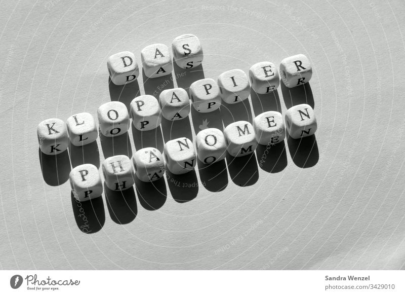 Dice with letters, the toilet paper phenomenon Consumption War abundance scarcity corona Crisis Media Virus buying behaviour hamster purchases policy Economy