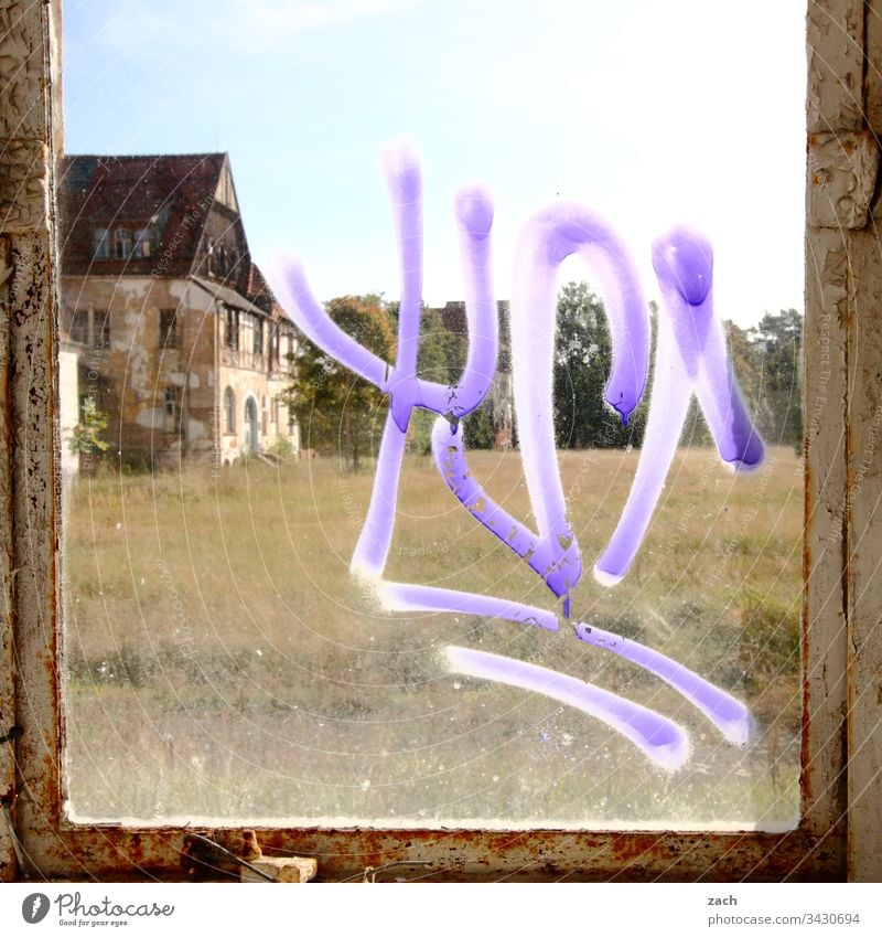 An old villa seen through a dirty window Room Past Redecorate Wall (barrier) Wall (building) Colour photo Transience Destruction Broken Interior shot Old Ruin