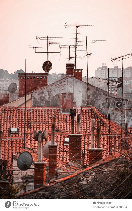 Roofs in Pula relaxation Vacation & Travel Esthetic Adriatic Sea Deep depth of field Colour photo Exterior shot Vacation destination Old town Deserted