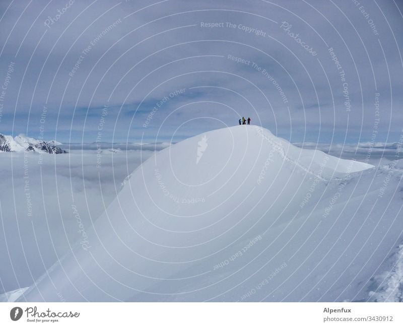 rope team | summit meeting Glacier Alps Mountain Snow Exterior shot Ice Peak Cold Snowcapped peak Nature Beautiful weather Valais Alps Climate change Landscape