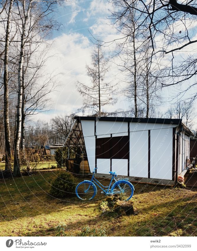 blue bicycle bungalow Holiday Village Camping site permanent campers free time out Bicycle trees Nature relaxation Relaxation Deserted Colour photo