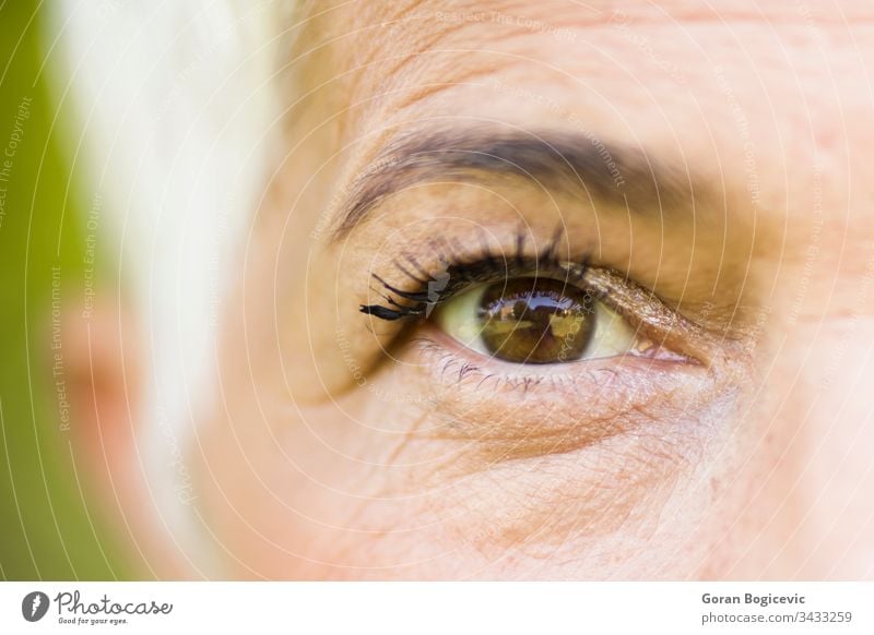 Wrinkled eye of beautiful lady eyelashes adult age brown care closeup detail elderly expression eyebrow face look macro optic senior skin vision white woman