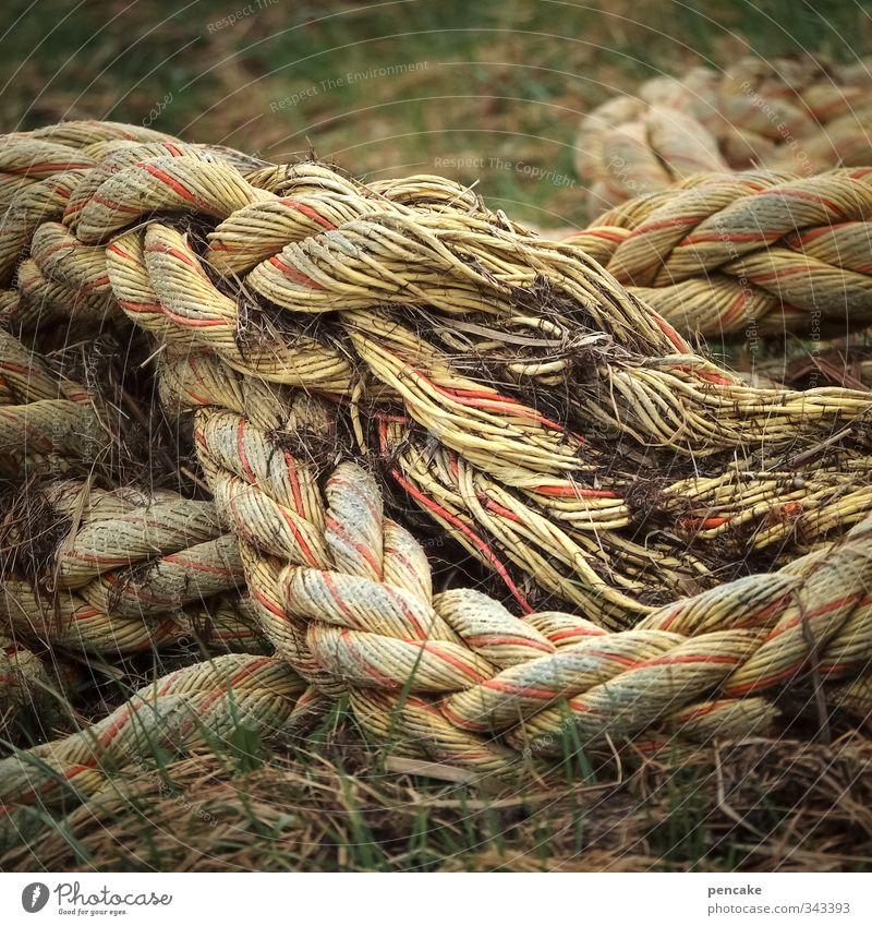 Rømø | old pigtail Nature Elements Earth Coast North Sea Knot Communicate Rope Navigation Colour photo Exterior shot Close-up Detail Neutral Background Day