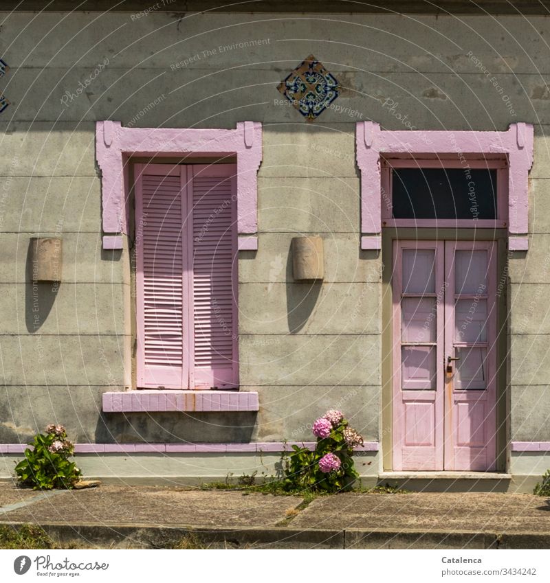 The pink painted shutters and front door freshen up the grey facade. Two pink hydrangeas take care of themselves Apartment Building