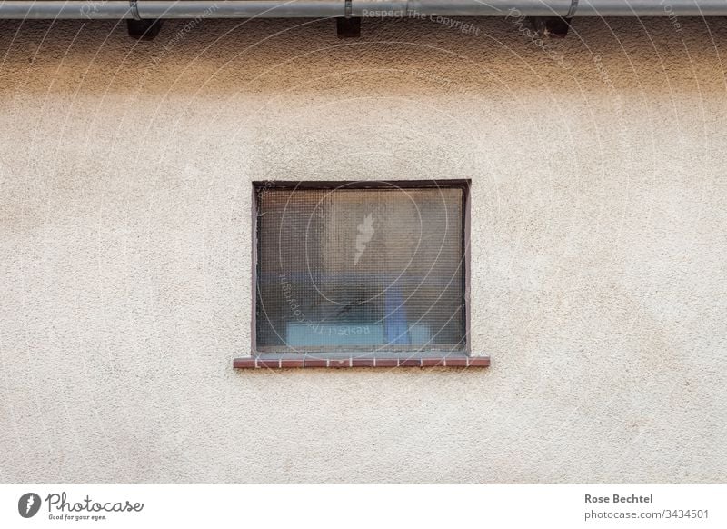 House wall with window House (Residential Structure) house wall Window Facade Beige Brown centered