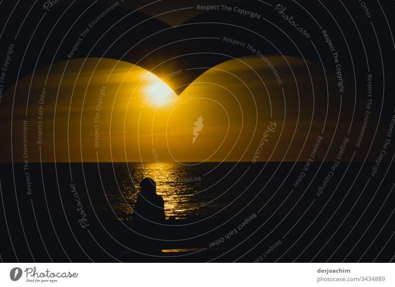 Waiting in the "Great Heart" in Adelaide, on the beach for the sunset. A shadow of a person looks at the sea. Love Red Colour photo Romance Exterior shot