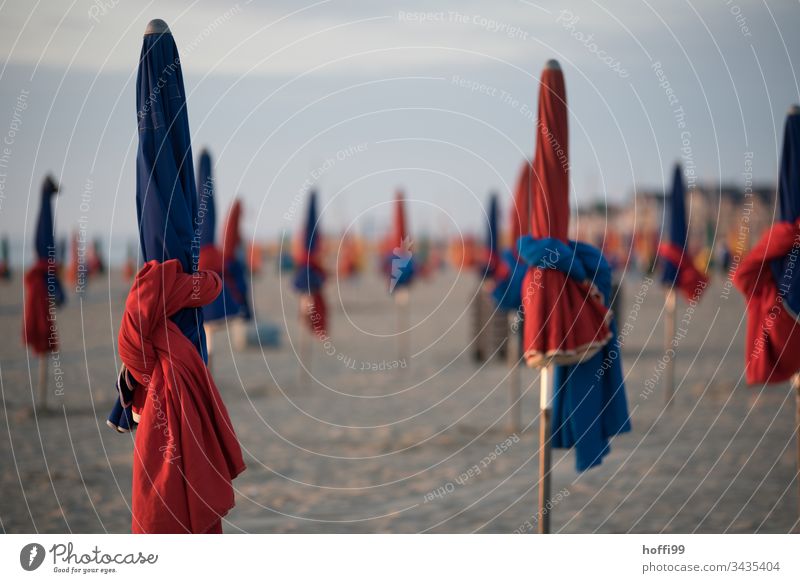 Evening at the beach umbrellas packed Beach life Sunshade Ocean Coast Sunset Sunrise Sand Environment Vacation & Travel Wellness Leisure and hobbies Warmth