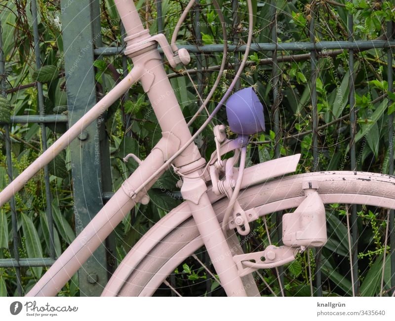 Detail of a pink painted ladies bicycle with purple lamp Bicycle Pink dynamo Wheel rim Spokes Cable Fence Hedge connected Old Tire Means of transport