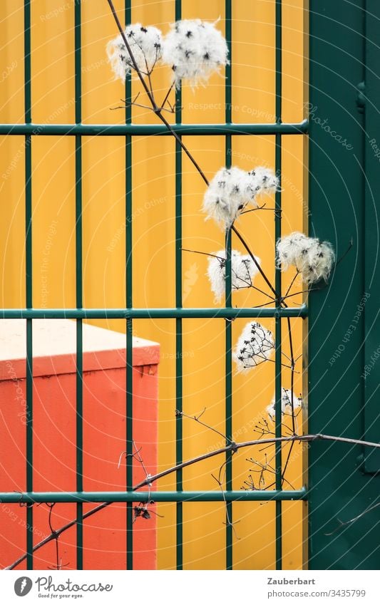 Green grid, branch with white pimples in front of abstract background in yellow and orange Grating Fence Twig White Shriveled Pattern rectangular