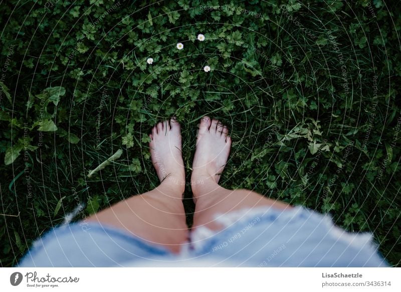 View from above on bare feet in a meadow. Young woman standing in a meadow in front of daisies and wearing jeans shorts. Feet from on high Woman Grass care Body