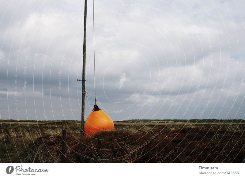 A Fender on shore leave. Vacation & Travel Environment Nature Landscape Sky Clouds Bad weather North Sea Plastic Sign Signage Warning sign Hang Orange Pole Rope