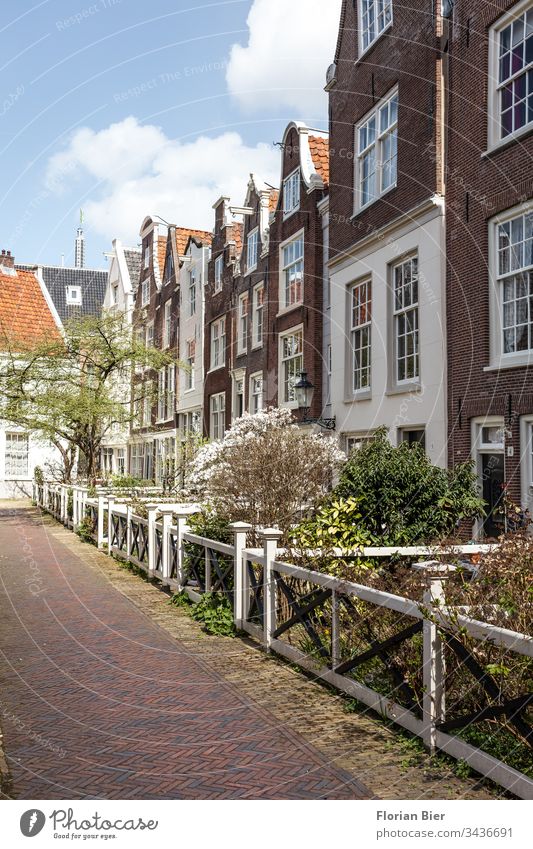 Houses with small flowering front gardens in spring in Amsterdam Netherlands House (Residential Structure) Entrance Window Facade Victorian Building style