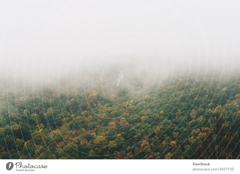 View of foggy mountains with trees forest nature Greece Evros Rodopi autumn landscape misty light green morning background dark dawn mystery fantasy beautiful