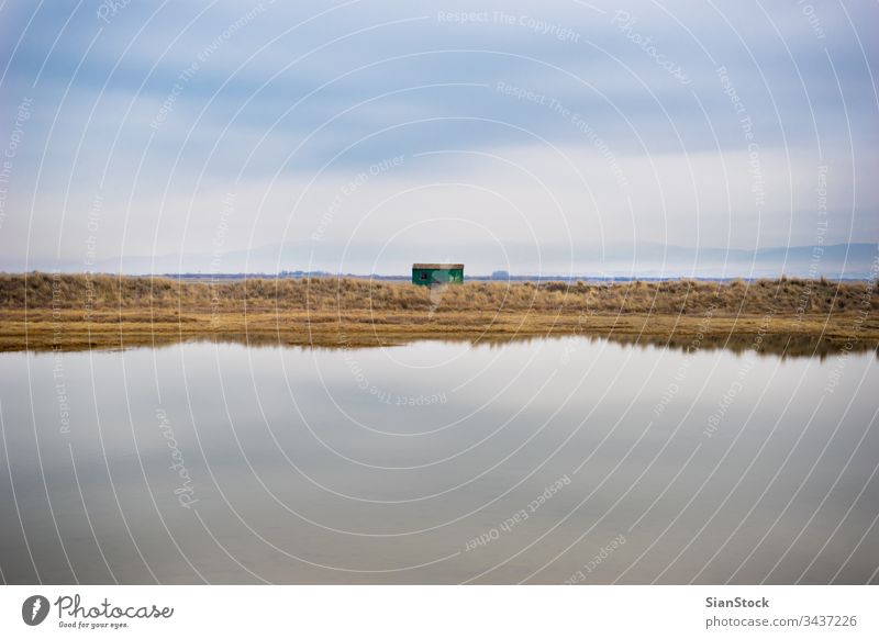 House on delta of river Evros, Greece evros view sky natural landscape beautiful winter nature water aerial drone background white yellow tree greece